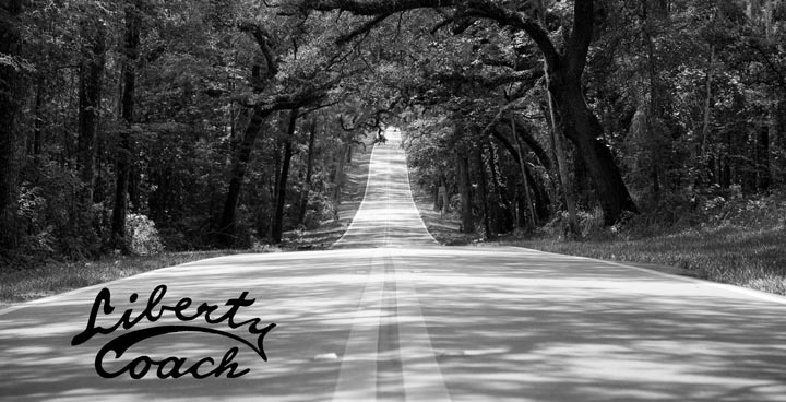 Road with yellow lines and trees on the sides
